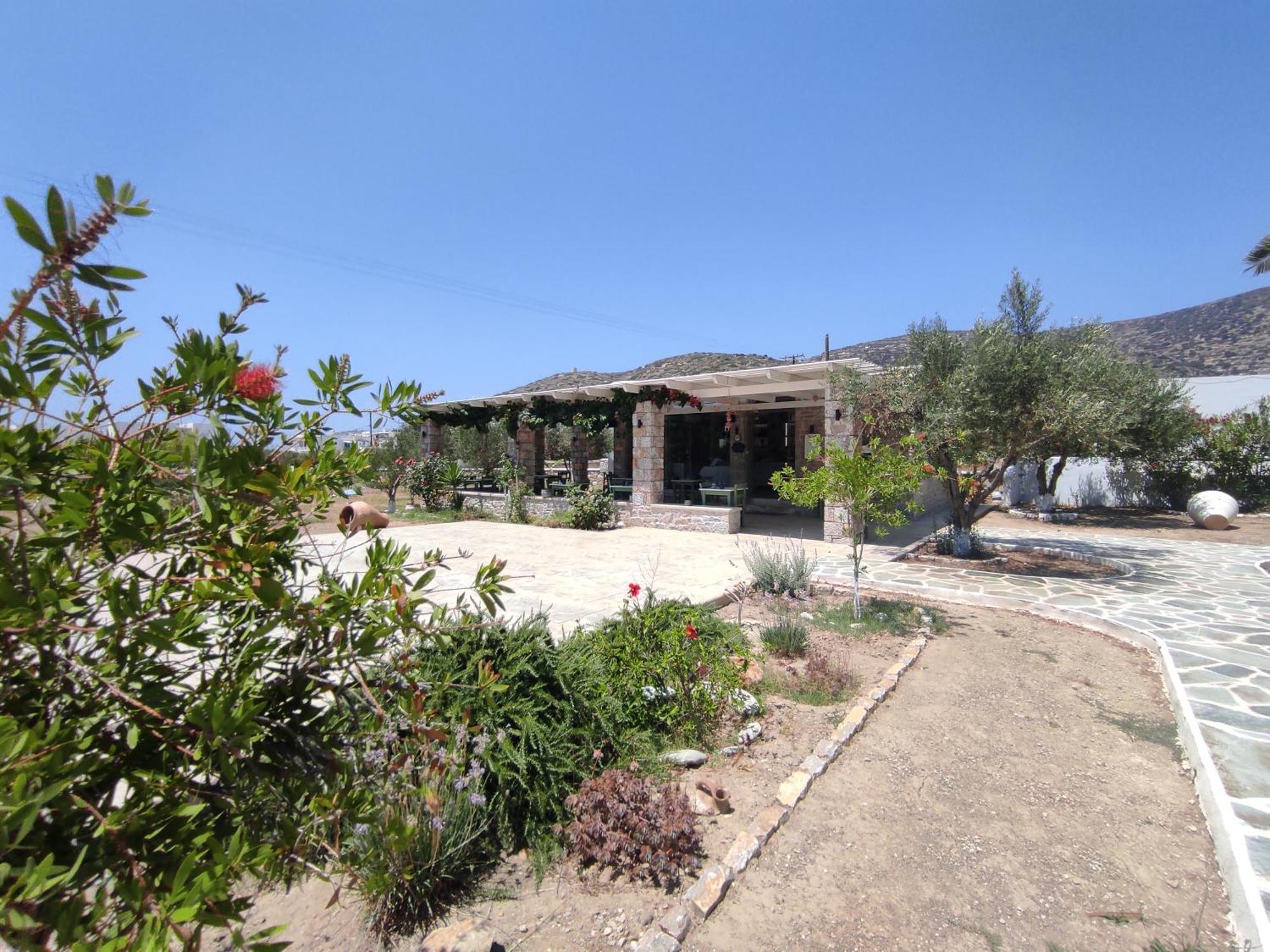 Villa Le Grand Bleu Katapola Exteriör bild